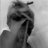 Ewout+ter+Haar